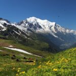 Tour du Mont Blanc