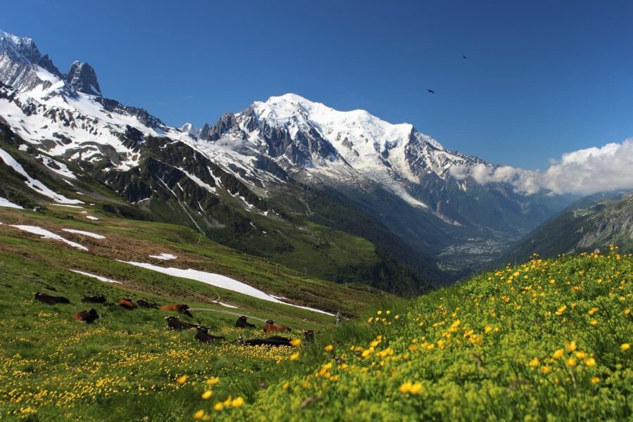 Tour du Mont Blanc