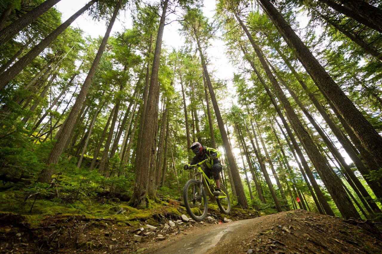 A-Line – Whistler Bike Park, British Columbia, Canada